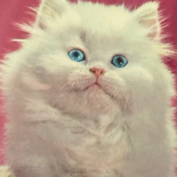 VTG Sweater Clip and Earrings - Picture 8 of 8